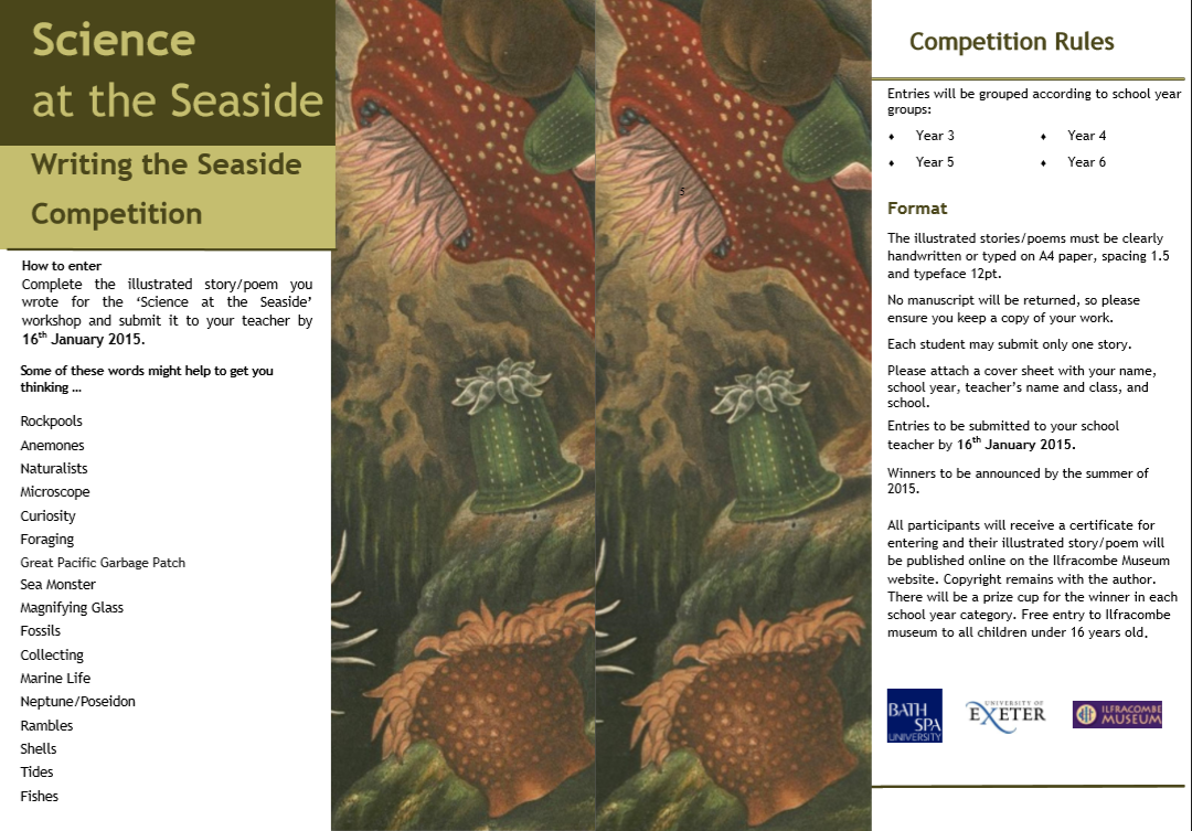 Writing Competition Flyer